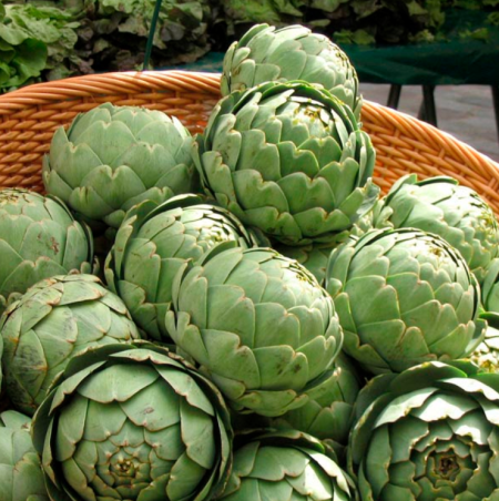 Articska ’Green Globe’ 5 DB MAG