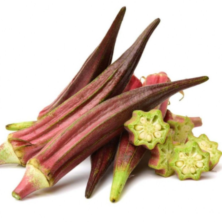 Okra ’Burgundy’ 5 DB MAG